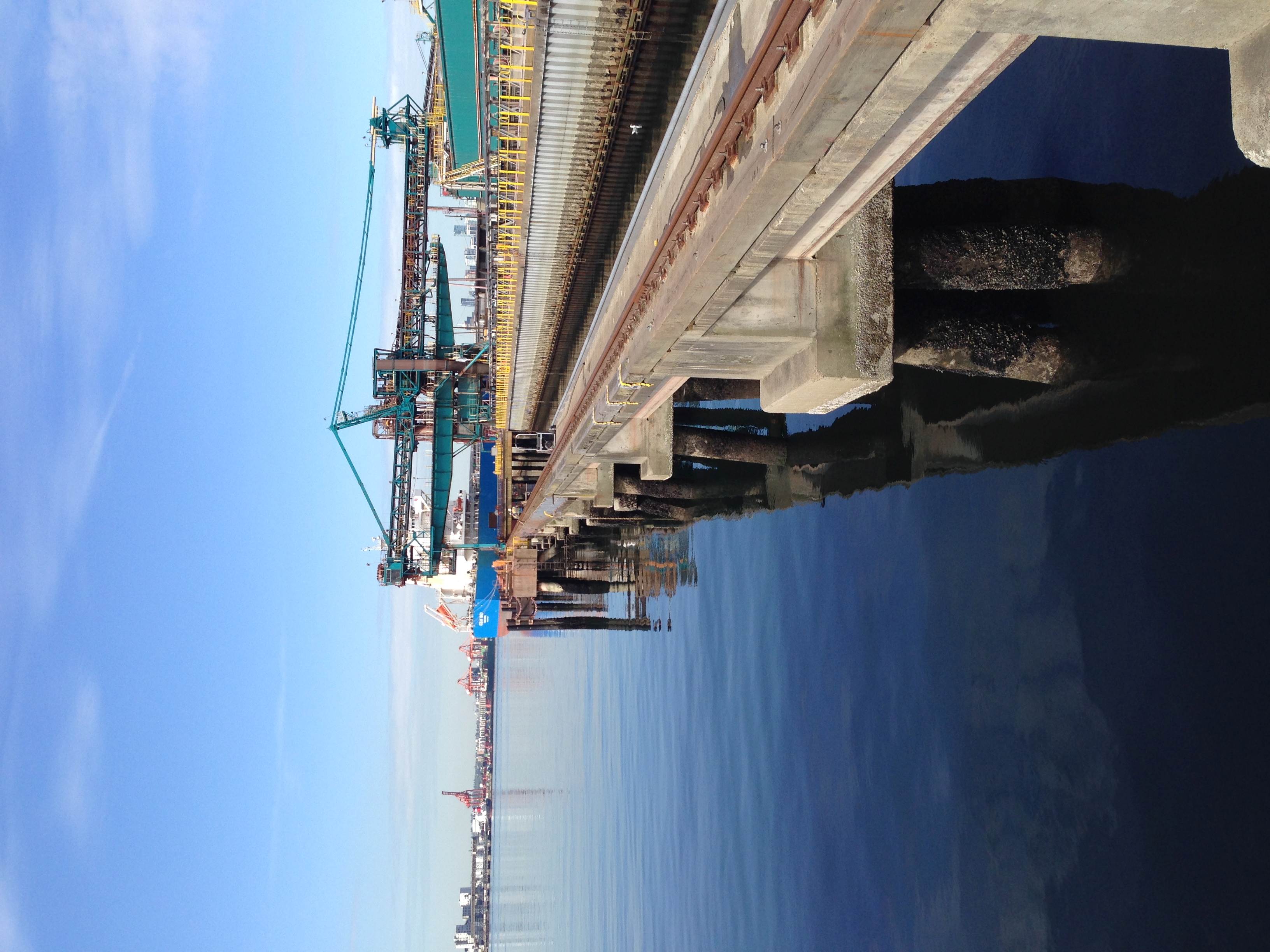 Underside of a marine wharf with port cranes visible in the background